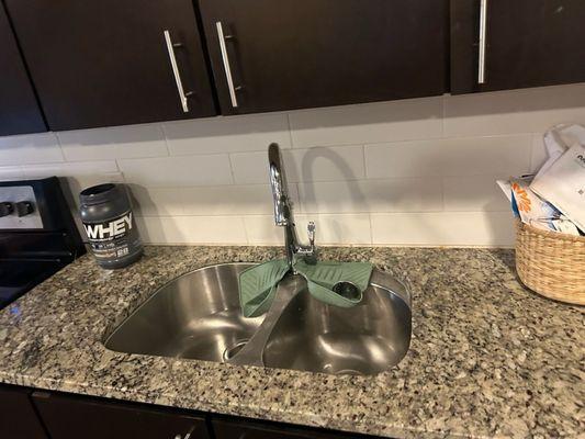 Dirty Dishes Cleaning Services