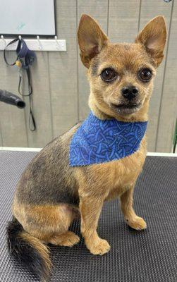 Riverside Dog Resort