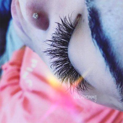 Lash Mommy