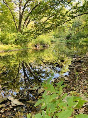 Adams, MN Map & Directions - MapQuest