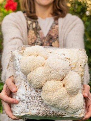 ILLUMINI Mushroom Coffee