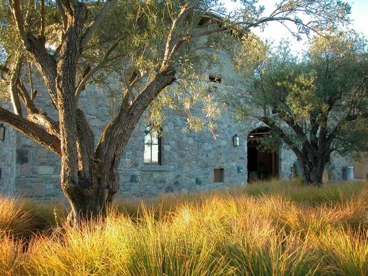 Jonathan Plant & Associates