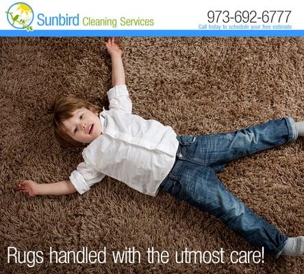 Sunbird Carpet Cleaning