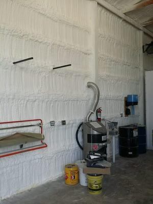 Earthshield Foam Insulation