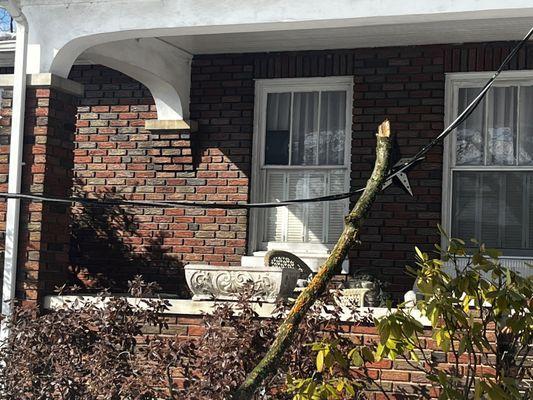 Forrest Healey Electric