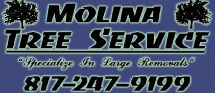 Molina Tree Service