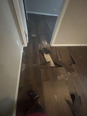 Ace Rental Management