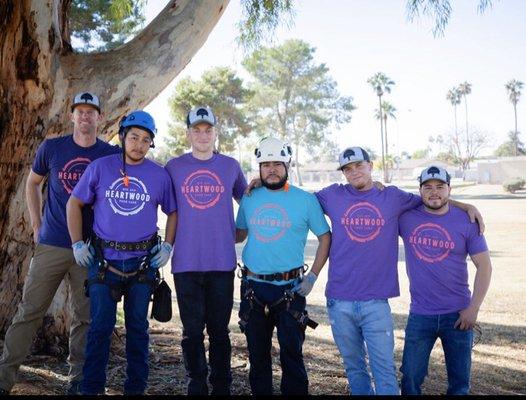 Heartwood Tree Care