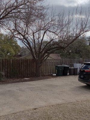 Big Bell's Trees and Landscaping