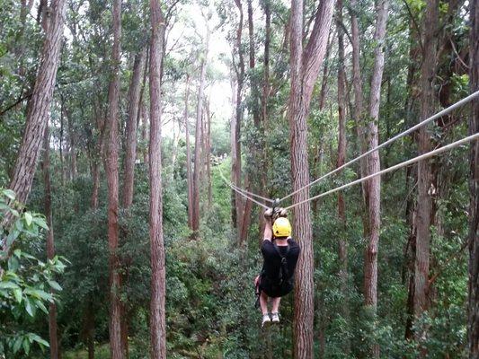 Kohala Zipline