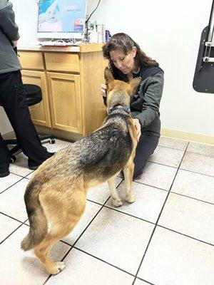 Safe Harbor Animal Hospital