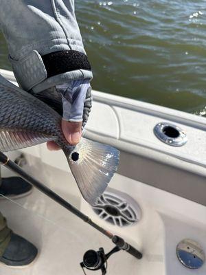 All 4 Chuck Fishing Charters