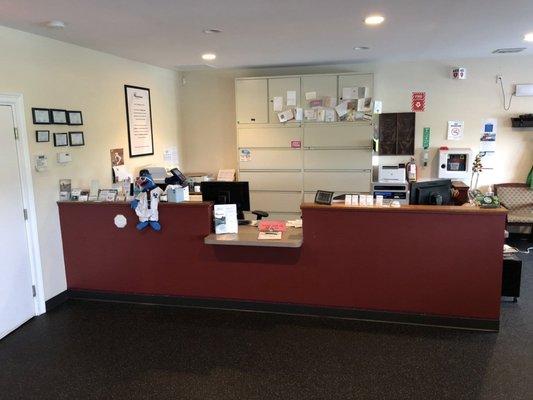 Professional Physical and Hand Therapy