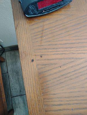 Cigarette burns from previous occupants