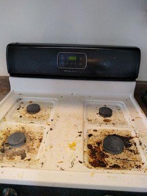 Sparkle & Shine Services