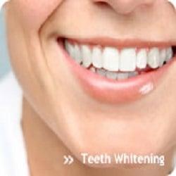 John C Slaughter, DDS