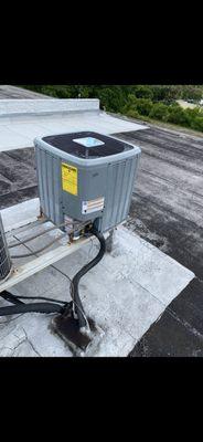 Celine Cooling Experts