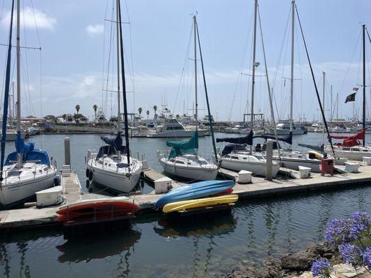 The offending boats. 3 of em