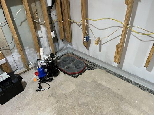 This particular photo includes the pump itself before it is placed in the basin.