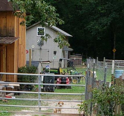 Bone Creek Farms Entrance