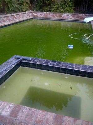 Blue Splash Pool Service