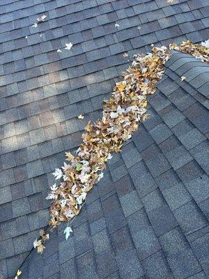 First Choice Home Solutions