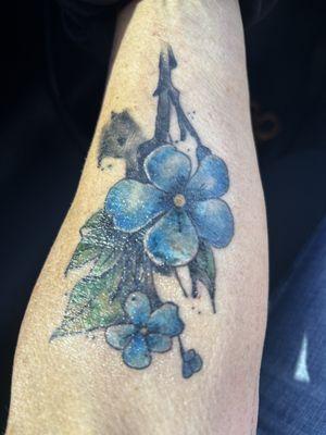 Forget me not flowers.