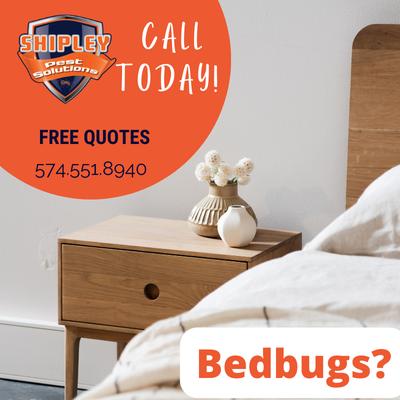 Shipley Pest Solutions