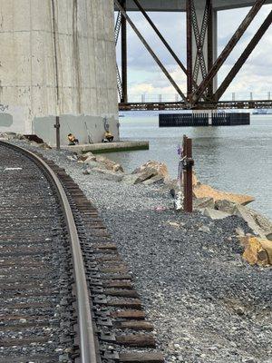 Shoreline fishing license required