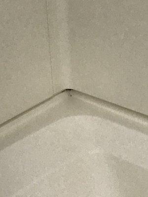 Microtel Inn & Suites by Wyndham Knoxville