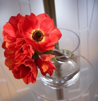 Photo: Sofia Negron Photography