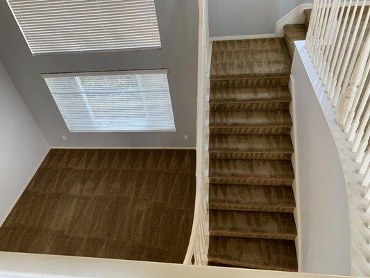 Steam Cleaning Professionals