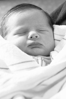 Vivid Vision Photography by Ana M.