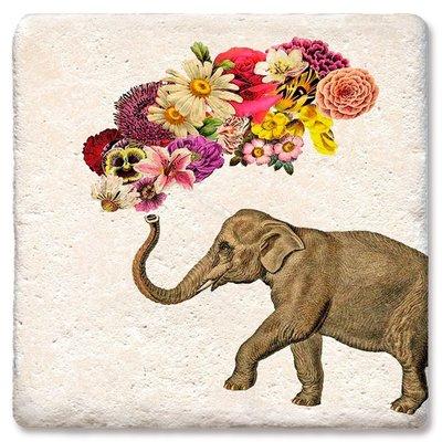 Expansion Wellness Center