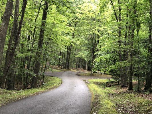 Twin Falls Resort State Park