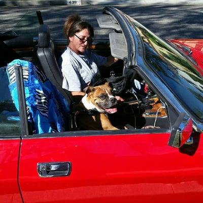 AG Dog Training and K9 Concierge