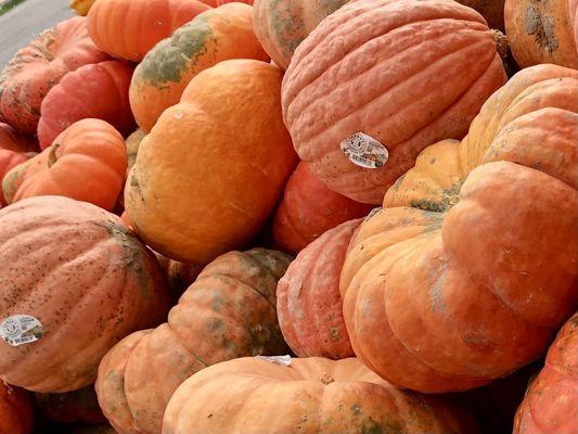 Lil Brian's Produce Market