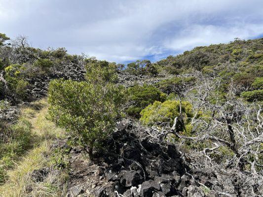 Kaupo Gap Trail