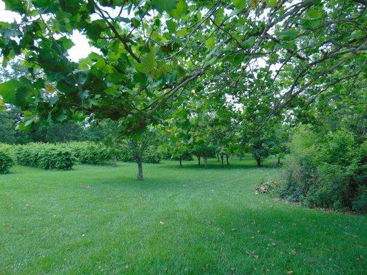 The beauty of the Natural State