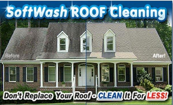 Don't replace your dirty roof , Clean it !