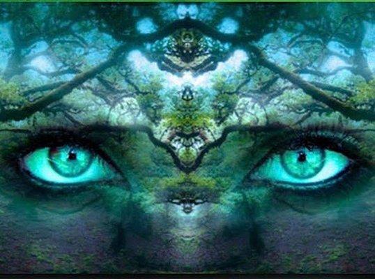 Awaken To Love Spiritual Guidance