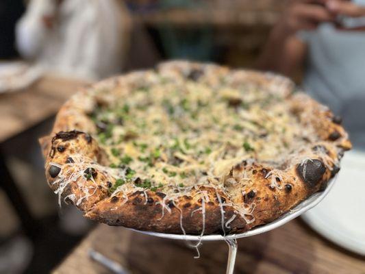 Bungalow by Middle Brow