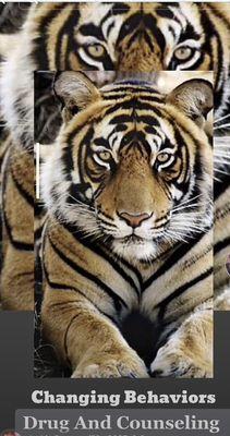 Changing Behaviors
Drug and Alcohol and
Anger Management
208-577-8312