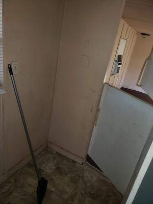 Dust Bunnies Residential and Commercial Cleaning