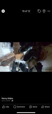 Eastwood Animal Clinic