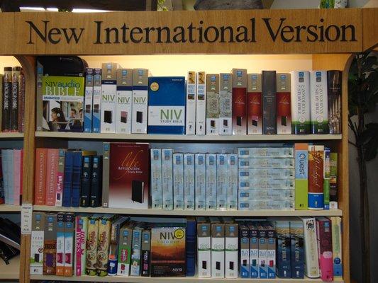 Huge Bible Selection! All Translations, Large Print Bibles, Regular Size Bibles, Study Bibles, Gift Bibles.