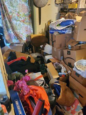 Full 360 Cleaning & Organizing