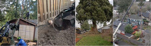 Nw Premier Tree Services