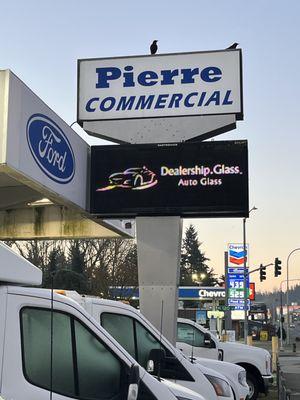 Dealership Glass