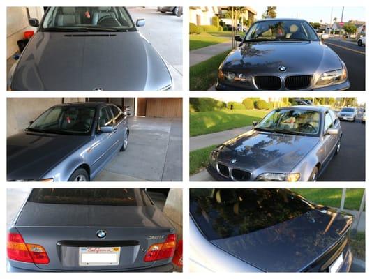 Optimo Detailing & Protection